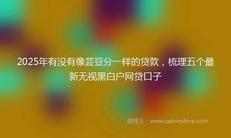 2025年有没有像芸豆分一样的贷款，梳理五个最新无视黑白户网贷口子