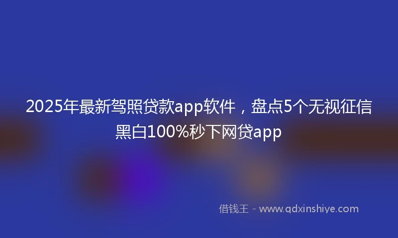 2025年最新驾照贷款app软件，盘点5个无视征信黑白100%秒下网贷app