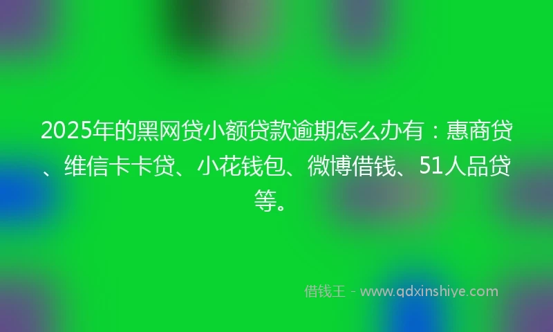 2025年的黑网贷小额贷款逾期怎么办有：惠商贷、维信卡卡贷、小花钱包、微博借钱、51人品贷等。