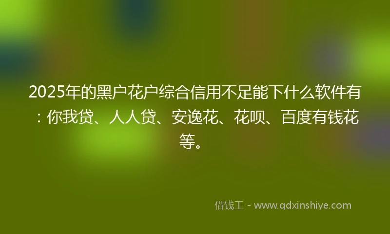 2025年的黑户花户综合信用不足能下什么软件有：你我贷、人人贷、安逸花、花呗、百度有钱花等。