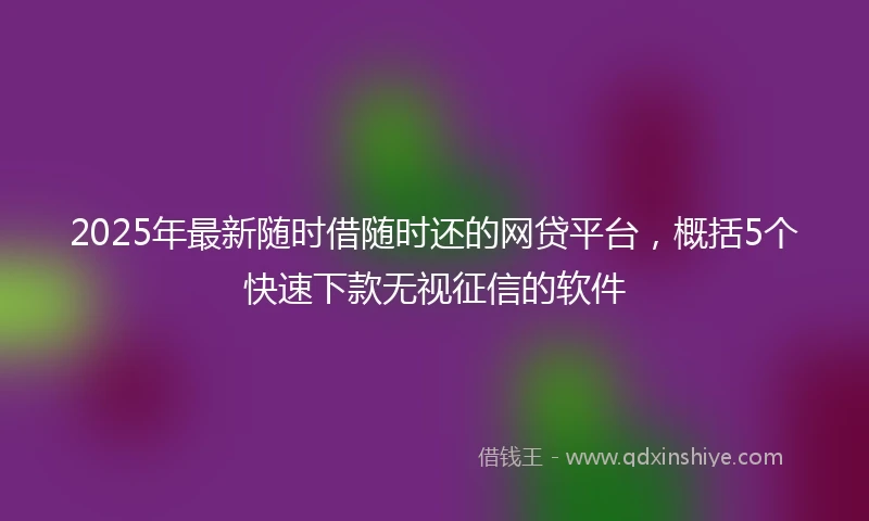 2025年最新随时借随时还的网贷平台，概括5个快速下款无视征信的软件