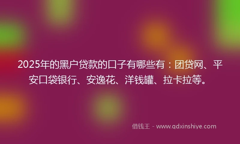 2025年的黑户贷款的口子有哪些有：团贷网、平安口袋银行、安逸花、洋钱罐、拉卡拉等。