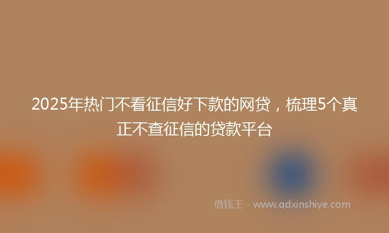2025年热门不看征信好下款的网贷，梳理5个真正不查征信的贷款平台