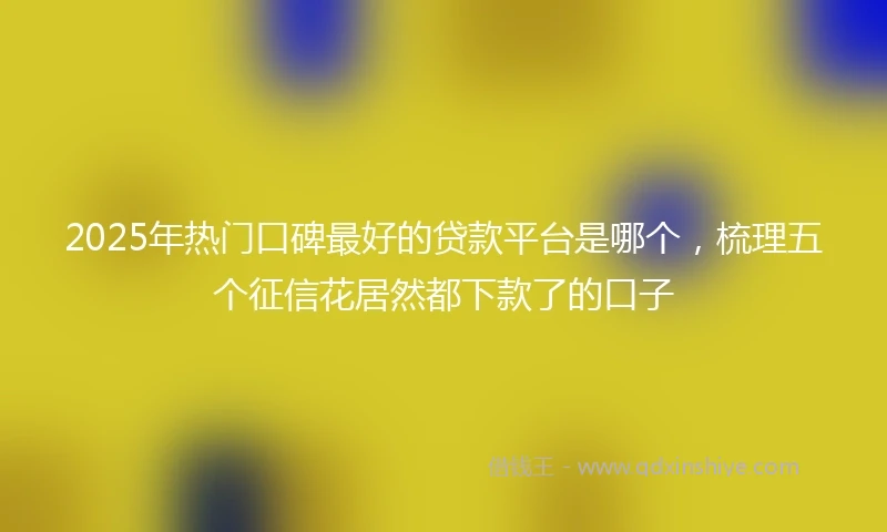 2025年热门口碑最好的贷款平台是哪个，梳理五个征信花居然都下款了的口子
