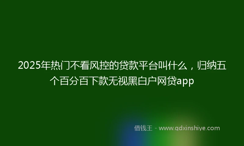 2025年热门不看风控的贷款平台叫什么，归纳五个百分百下款无视黑白户网贷app