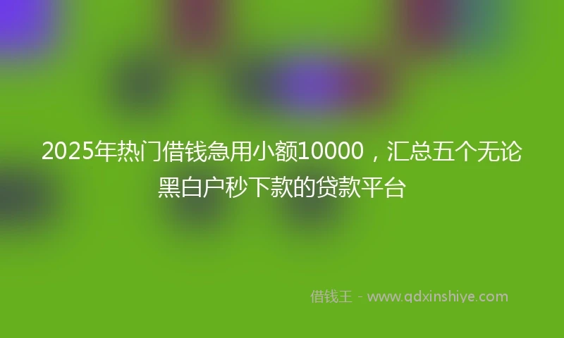 2025年热门借钱急用小额10000，汇总五个无论黑白户秒下款的贷款平台