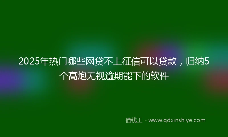 2025年热门哪些网贷不上征信可以贷款，归纳5个高炮无视逾期能下的软件
