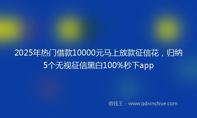 2025年热门借款10000元马上放款征信花，归纳5个无视征信黑白100%秒下app