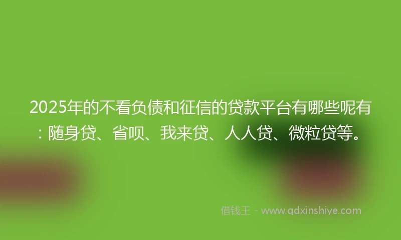 2025年的不看负债和征信的贷款平台有哪些呢有：随身贷、省呗、我来贷、人人贷、微粒贷等。