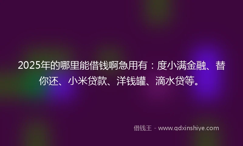 2025年的哪里能借钱啊急用有：度小满金融、替你还、小米贷款、洋钱罐、滴水贷等。