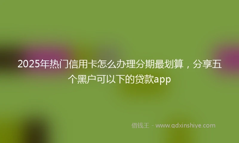 2025年热门信用卡怎么办理分期最划算，分享五个黑户可以下的贷款app