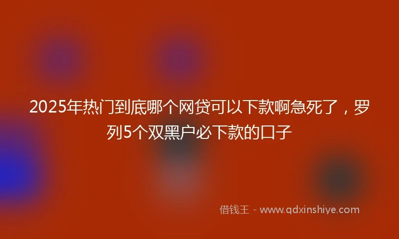 2025年热门到底哪个网贷可以下款啊急死了，罗列5个双黑户必下款的口子
