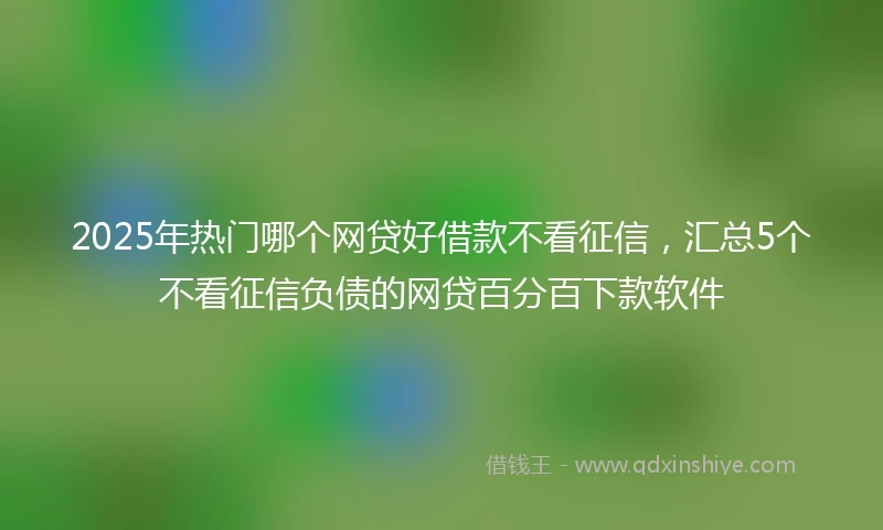 2025年热门哪个网贷好借款不看征信，汇总5个不看征信负债的网贷百分百下款软件