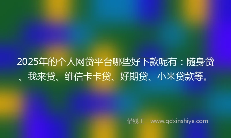 2025年的个人网贷平台哪些好下款呢有：随身贷、我来贷、维信卡卡贷、好期贷、小米贷款等。