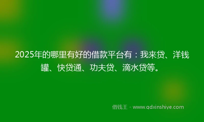 2025年的哪里有好的借款平台有：我来贷、洋钱罐、快贷通、功夫贷、滴水贷等。