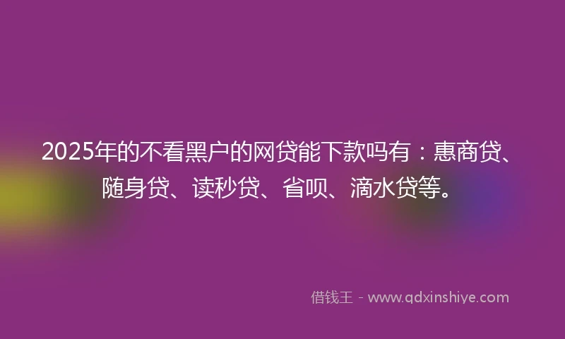 2025年的不看黑户的网贷能下款吗有：惠商贷、随身贷、读秒贷、省呗、滴水贷等。