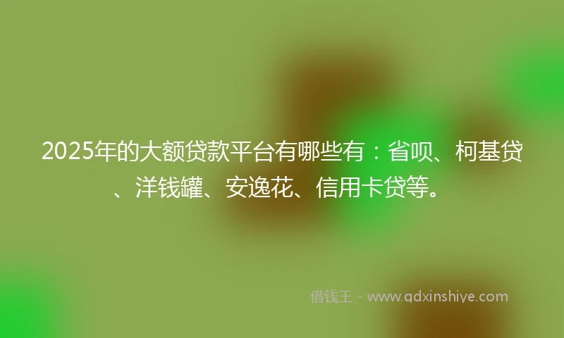 2025年的大额贷款平台有哪些有：省呗、柯基贷、洋钱罐、安逸花、信用卡贷等。