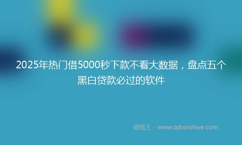 2025年热门借5000秒下款不看大数据,盘点五个黑白贷款必过的软件