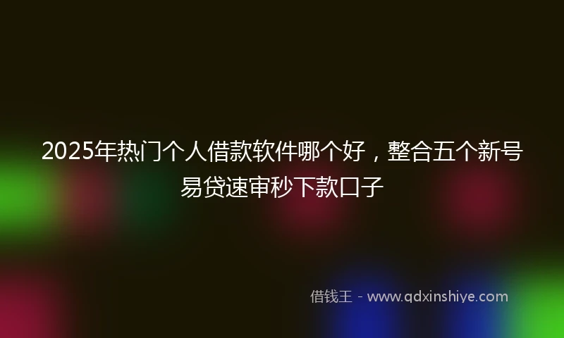 2025年热门个人借款软件哪个好，整合五个新号易贷速审秒下款口子