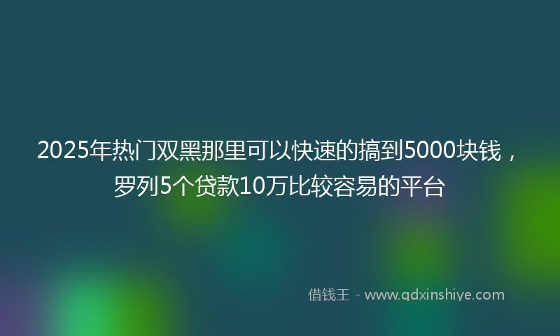 2025年热门双黑那里可以快速的搞到5000块钱，罗列5个贷款10万比较容易的平台