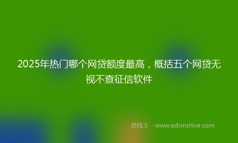 2025年热门哪个网贷额度最高，概括五个网贷无视不查征信软件