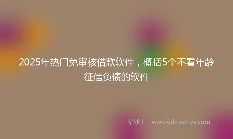 2025年热门免审核借款软件，概括5个不看年龄征信负债的软件