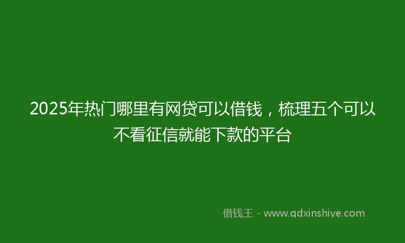 2025年热门哪里有网贷可以借钱，梳理五个可以不看征信就能下款的平台