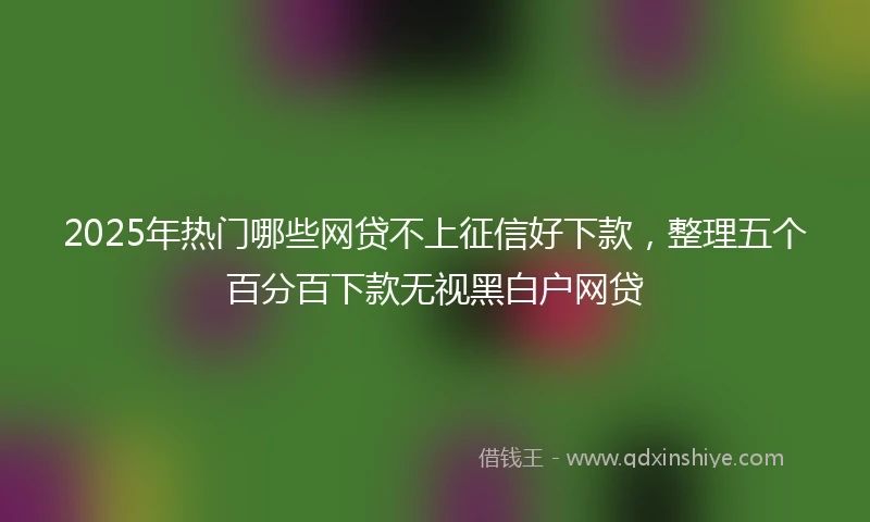 2025年热门哪些网贷不上征信好下款，整理五个百分百下款无视黑白户网贷