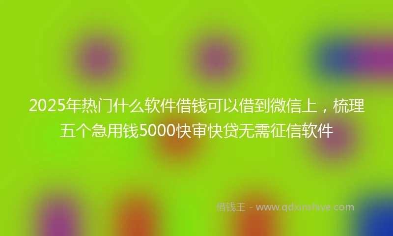 2025年热门什么软件借钱可以借到微信上，梳理五个急用钱5000快审快贷无需征信软件