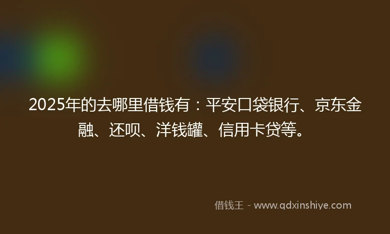 2025年的去哪里借钱有：平安口袋银行、京东金融、还呗、洋钱罐、信用卡贷等。