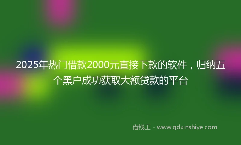 2025年热门借款2000元直接下款的软件，归纳五个黑户成功获取大额贷款的平台
