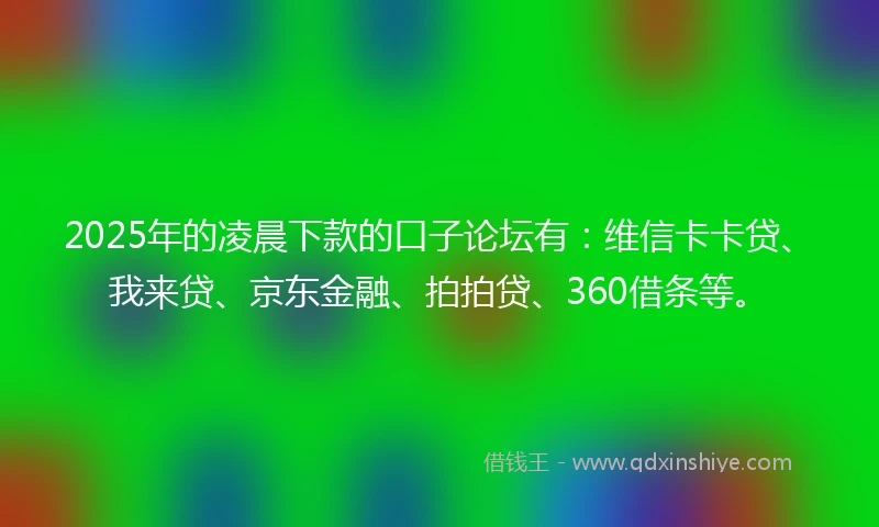 2025年的凌晨下款的口子论坛有：维信卡卡贷、我来贷、京东金融、拍拍贷、360借条等。