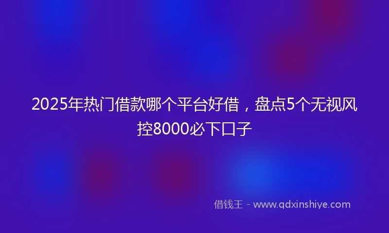 2025年热门借款哪个平台好借，盘点5个无视风控8000必下口子