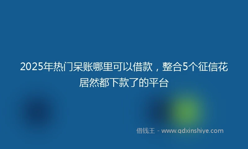 2025年热门呆账哪里可以借款，整合5个征信花居然都下款了的平台