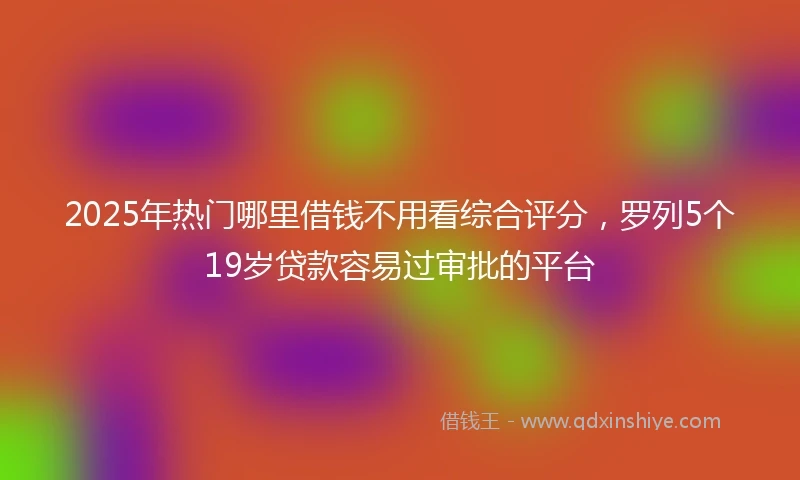 2025年热门哪里借钱不用看综合评分，罗列5个19岁贷款容易过审批的平台
