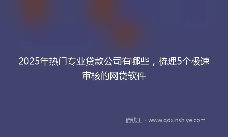 2025年热门专业贷款公司有哪些，梳理5个极速审核的网贷软件