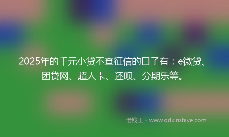2025年的千元小贷不查征信的口子有：e微贷、团贷网、超人卡、还呗、分期乐等。