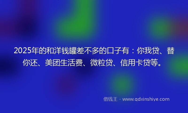 2025年的和洋钱罐差不多的口子有：你我贷、替你还、美团生活费、微粒贷、信用卡贷等。