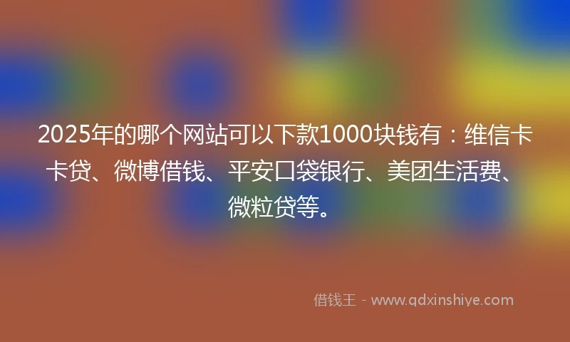 2025年的哪个网站可以下款1000块钱有：维信卡卡贷、微博借钱、平安口袋银行、美团生活费、微粒贷等。