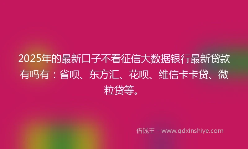 2025年的最新口子不看征信大数据银行最新贷款有吗有：省呗、东方汇、花呗、维信卡卡贷、微粒贷等。