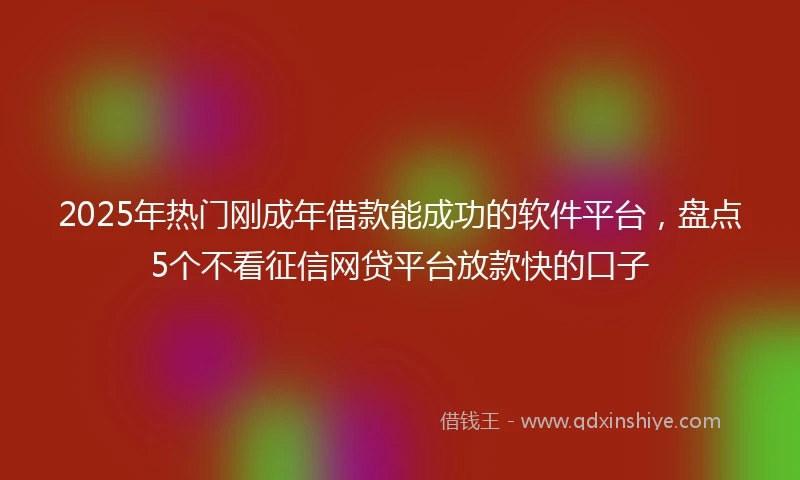 2025年热门刚成年借款能成功的软件平台，盘点5个不看征信网贷平台放款快的口子