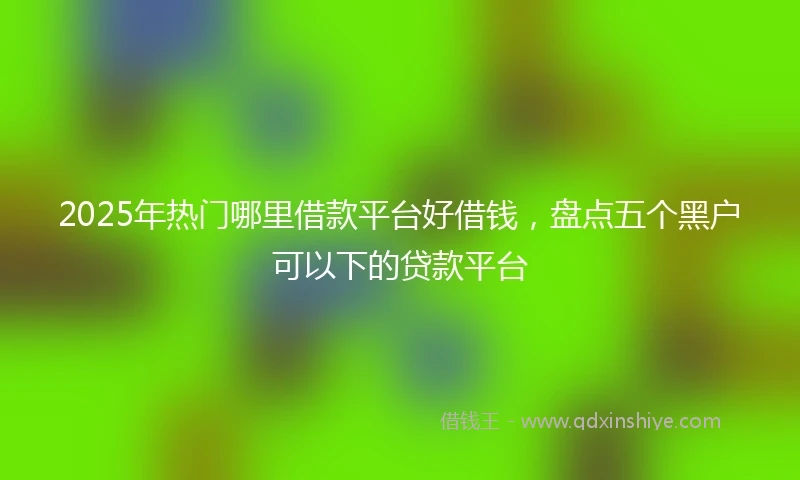 2025年热门哪里借款平台好借钱,盘点五个黑户可以下的贷款平台