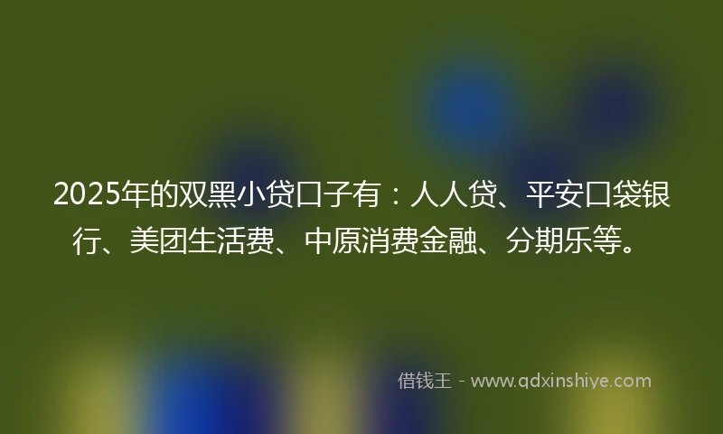 2025年的双黑小贷口子有：人人贷、平安口袋银行、美团生活费、中原消费金融、分期乐等。