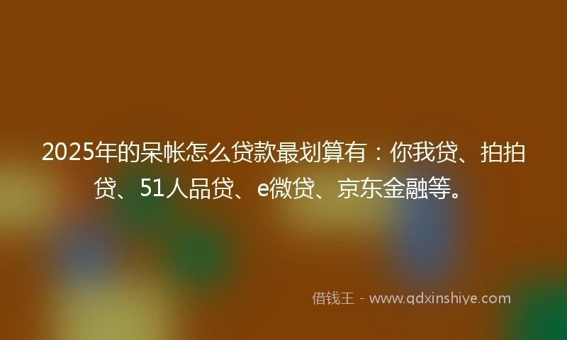 2025年的呆帐怎么贷款最划算有：你我贷、拍拍贷、51人品贷、e微贷、京东金融等。