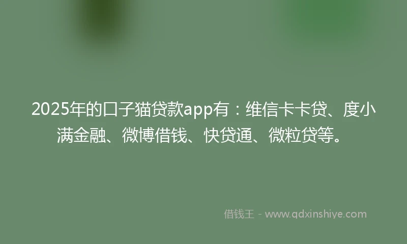 2025年的口子猫贷款app有：维信卡卡贷、度小满金融、微博借钱、快贷通、微粒贷等。