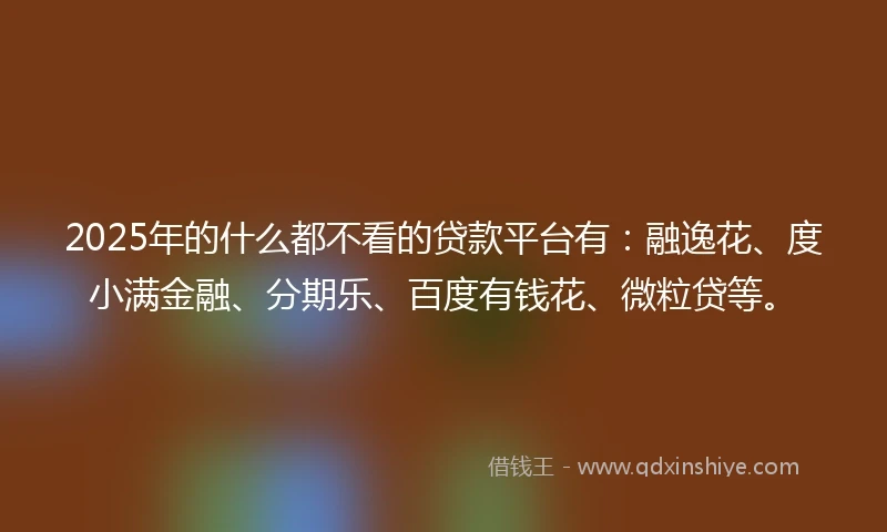 2025年的什么都不看的贷款平台有：融逸花、度小满金融、分期乐、百度有钱花、微粒贷等。