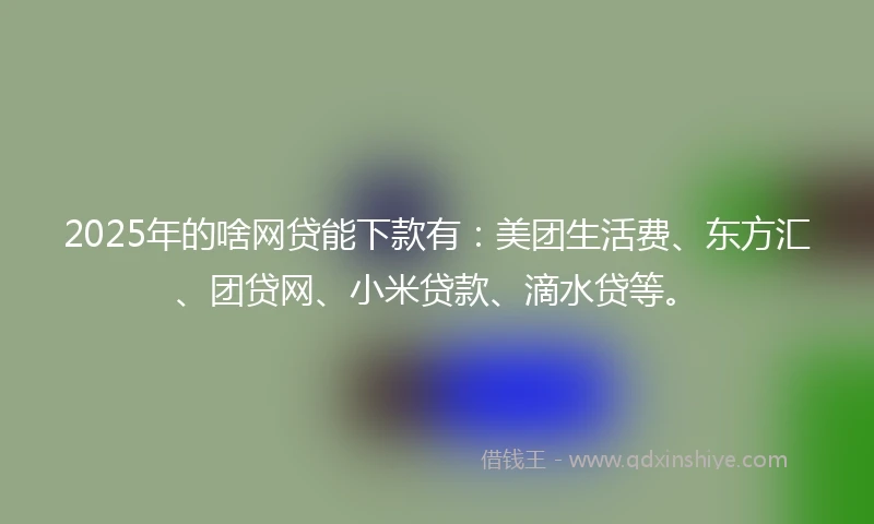 2025年的啥网贷能下款有：美团生活费、东方汇、团贷网、小米贷款、滴水贷等。