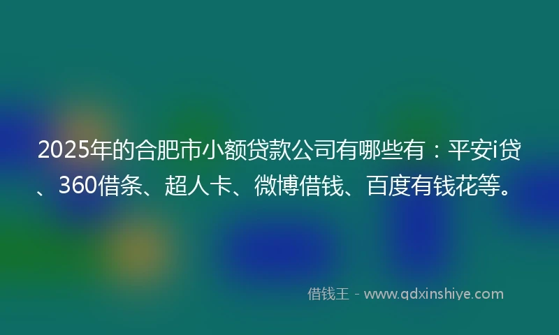 2025年的合肥市小额贷款公司有哪些有：平安i贷、360借条、超人卡、微博借钱、百度有钱花等。