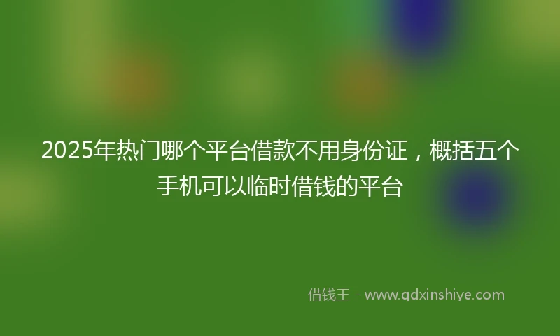 2025年热门哪个平台借款不用身份证，概括五个手机可以临时借钱的平台