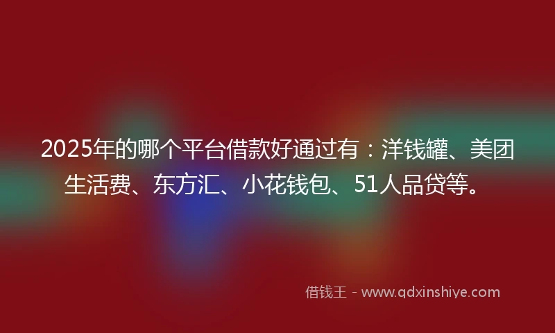 2025年的哪个平台借款好通过有：洋钱罐、美团生活费、东方汇、小花钱包、51人品贷等。